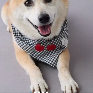 Cherry Gingham Dog Bandana AEO Black and White Check Kitschy Cute